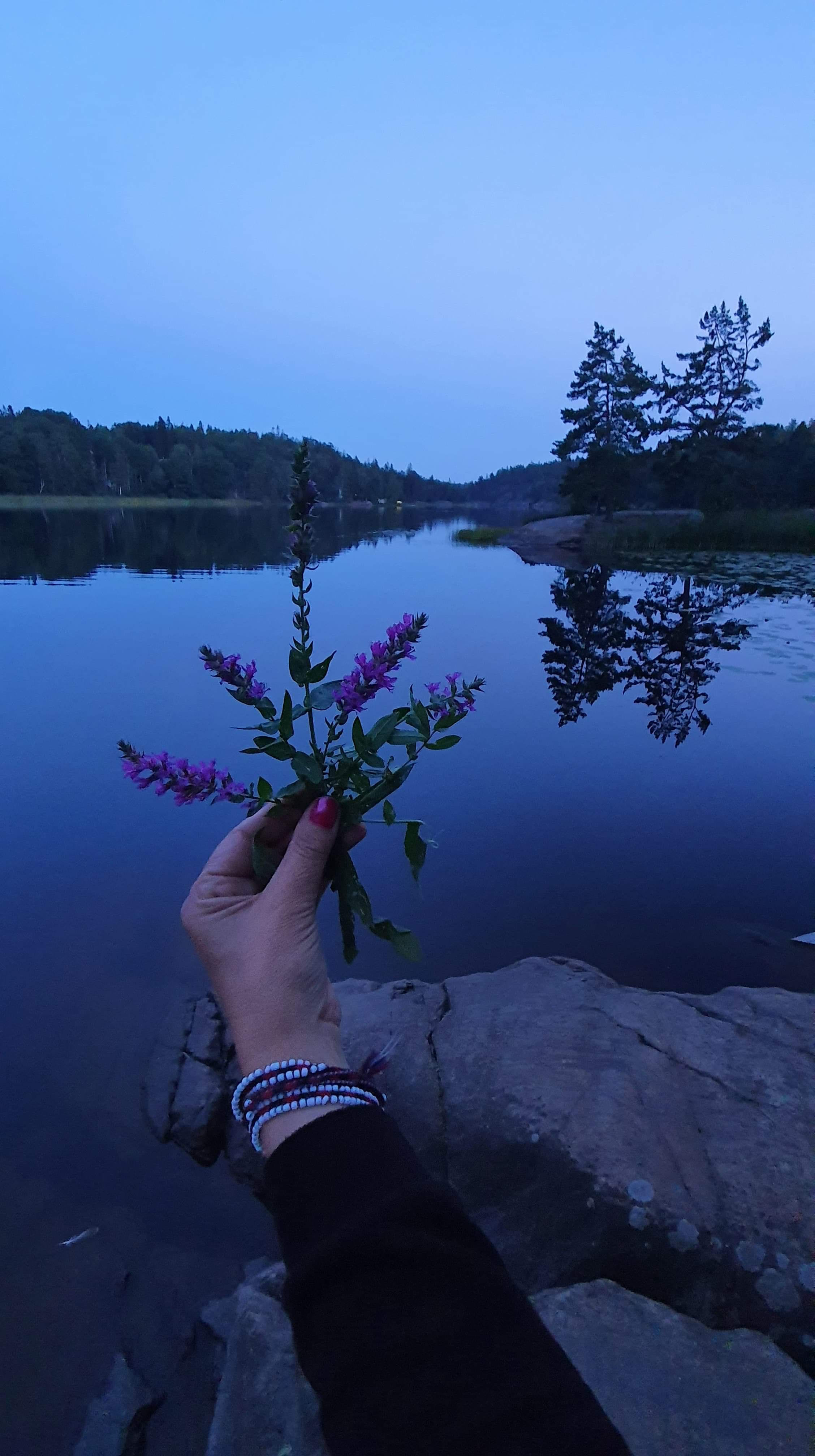 Natur vid vatten